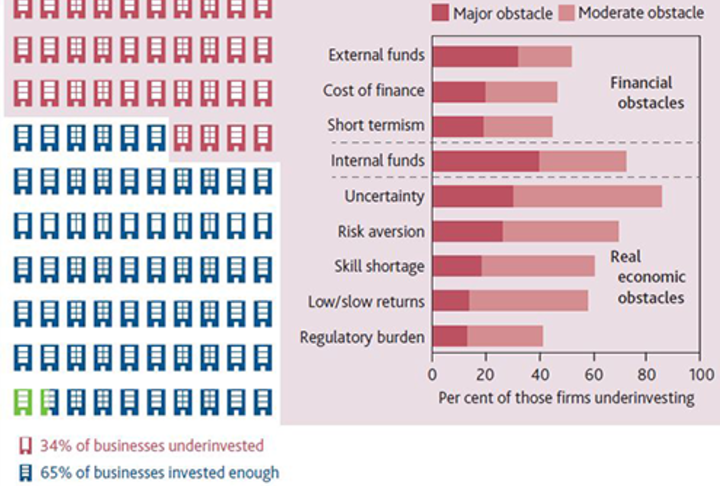 The financial system and productive investment: new survey evidence