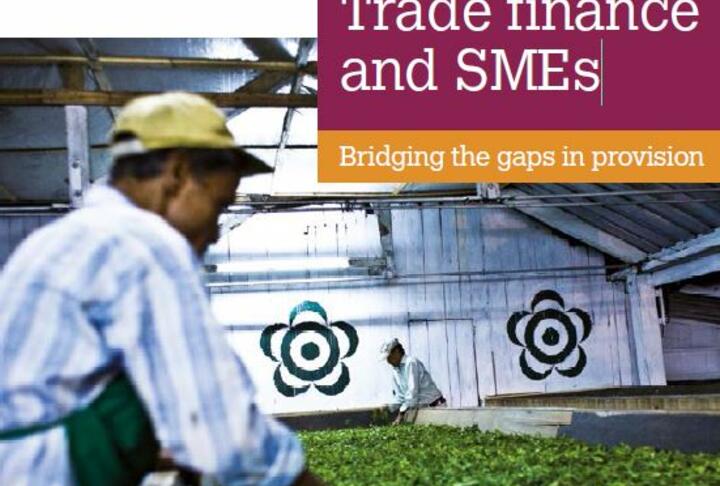 Trade finance and SMEs - Bridging the gaps in provision