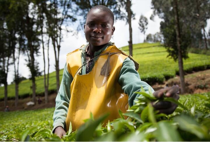 Boosting SME Finance for Growth : The Case for More Effective Support Policies