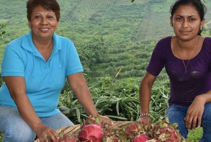 Article cover of 2 women in farm in color 