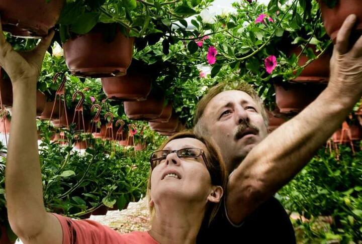 Article Cover of Man and Woman surrounded with potted plants in color