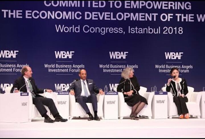 WBAF 2018 Panel: The G20 Agenda on Angel Investment and Early Stage Investment Markets