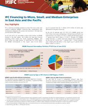 IFC Financing to Micro, Small, and Medium Enterprises in East Asia and the Pacific