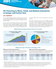 IFC Financing to Micro, Small, and Medium Enterprises in Europe and Central Asia