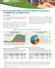 IFC Financing to Micro, Small, and Medium Enterprises in Middle East and North Africa