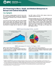IFC Financing to Micro, Small, and Medium Enterprises in Europe and Central Asia (ECA)
