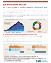 IFC Financing to Micro, Small, and Medium Enterprises in Europe and Central Asia (ECA)
