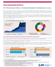 IFC Financing to Micro, Small, and Medium Enterprises in Sub-Saharan Africa