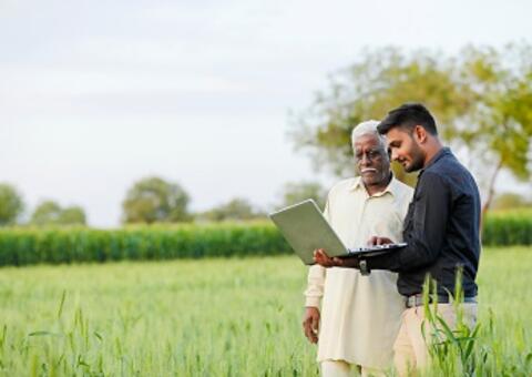 Old man and young man with computer on a crop field