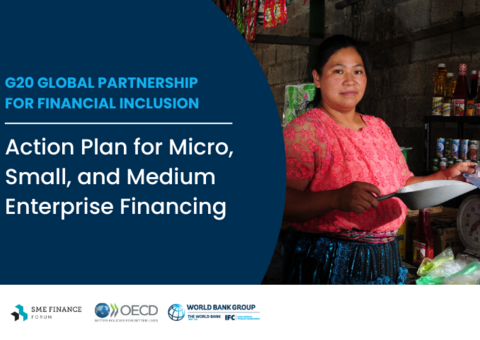 G20 Global Partnership for Financial Inclusion - Action Plan for MSME Financing G20 Global Partnership for Financial Inclusion - Action Plan for MSME Financing