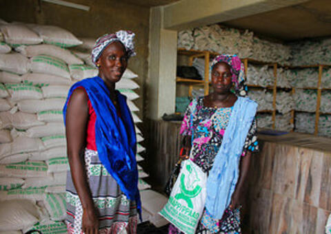 Greenfield microfinance – a business model for advancing financial inclusion in Sub-Saharan Africa? Greenfield microfinance – a business model for advancing financial inclusion in Sub-Saharan Africa?