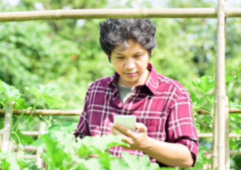 Digitization of SME Finance Is a Win-Win for All Digitization of SME Finance Is a Win-Win for All