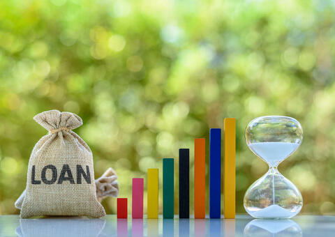  SME Loan Repayment Holidays in the Age of COVID 