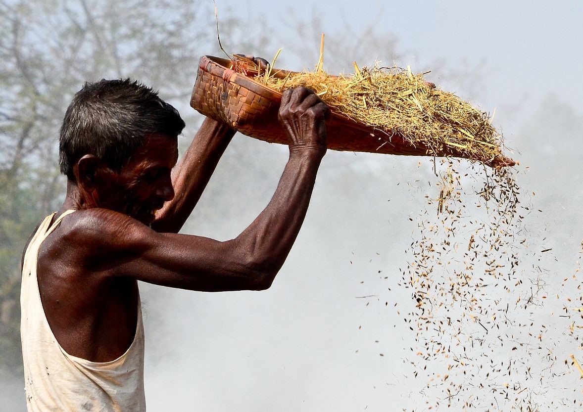 Article Cover of a man sieving wheat in color